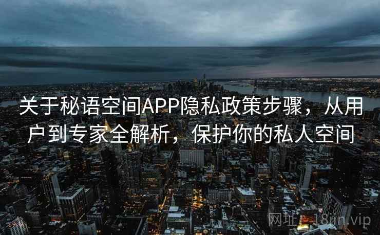 关于秘语空间APP隐私政策步骤，从用户到专家全解析，保护你的私人空间
