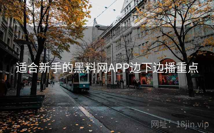 适合新手的黑料网APP边下边播重点