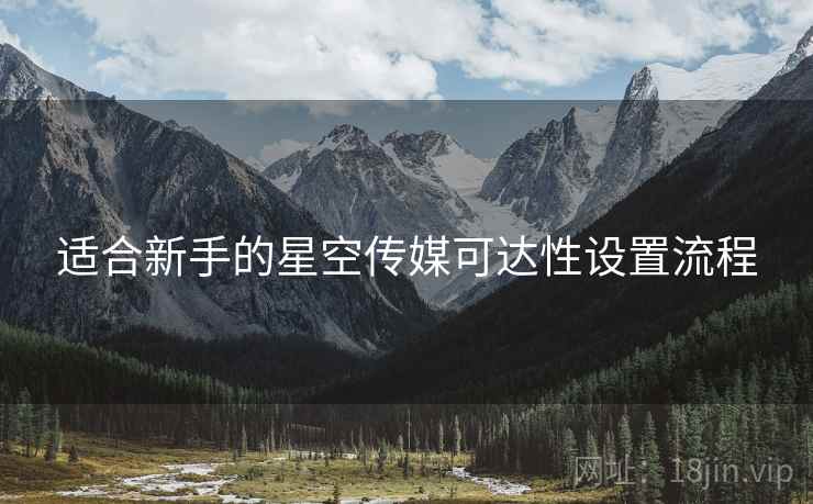 适合新手的星空传媒可达性设置流程