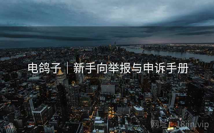 电鸽子｜新手向举报与申诉手册