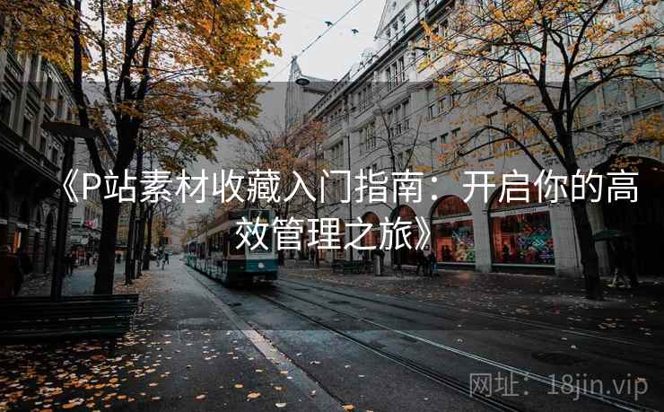 《P站素材收藏入门指南:开启你的高效管理之旅》 《P站素材收藏入门指南:开启你的高效管理之旅》