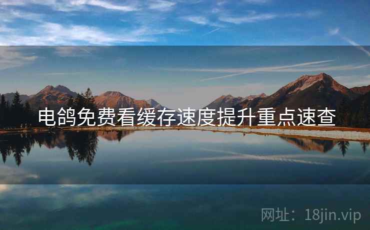 电鸽免费看缓存速度提升重点速查