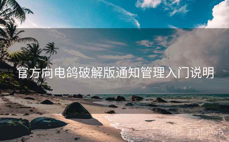 官方向电鸽破解版通知管理入门说明