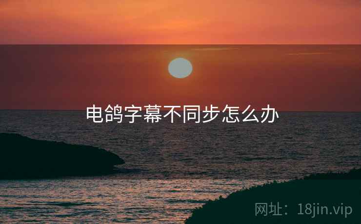 电鸽字幕不同步怎么办