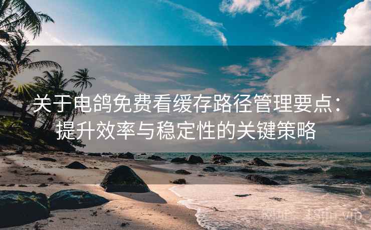 关于电鸽免费看缓存路径管理要点：提升效率与稳定性的关键策略