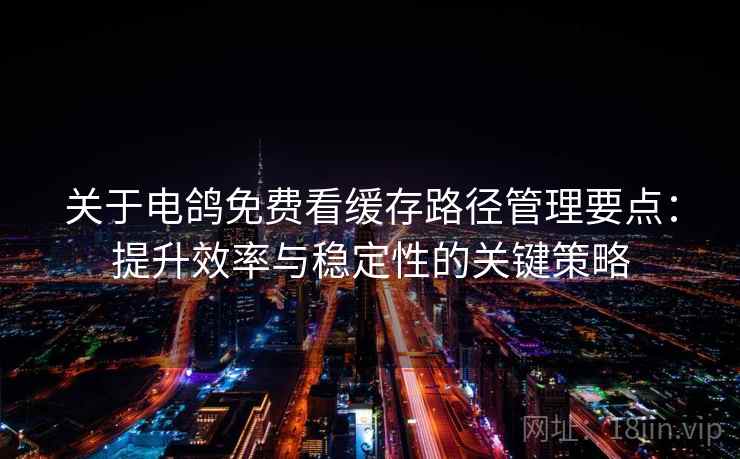 关于电鸽免费看缓存路径管理要点：提升效率与稳定性的关键策略