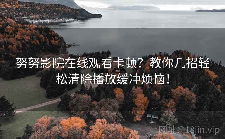 努努影院在线观看卡顿？教你几招轻松清除播放缓冲烦恼！
