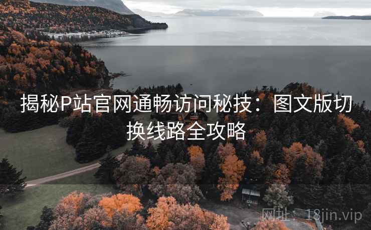 揭秘P站官网通畅访问秘技：图文版切换线路全攻略