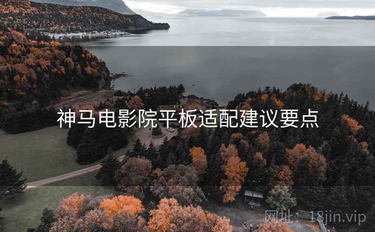 神马电影院平板适配建议要点