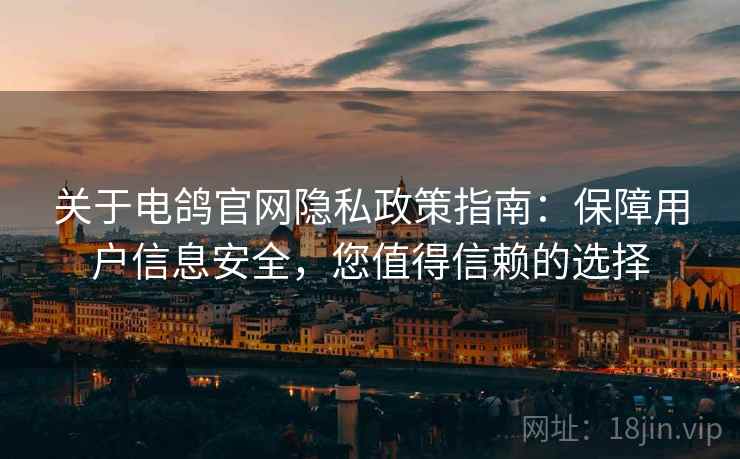 关于电鸽官网隐私政策指南：保障用户信息安全，您值得信赖的选择
