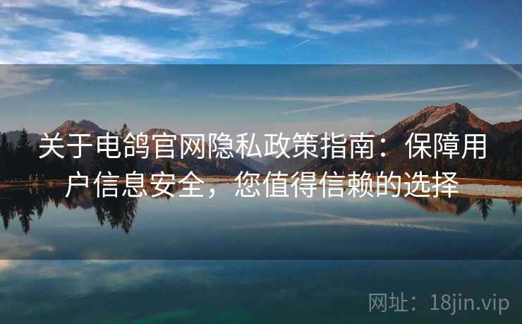 关于电鸽官网隐私政策指南：保障用户信息安全，您值得信赖的选择