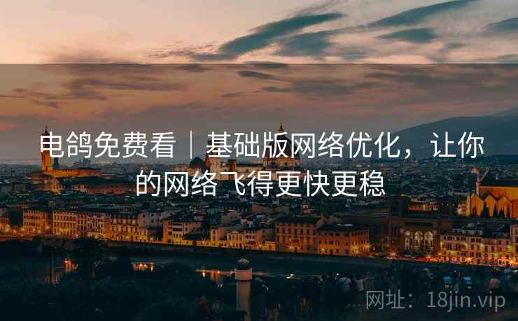 电鸽免费看｜基础版网络优化，让你的网络飞得更快更稳