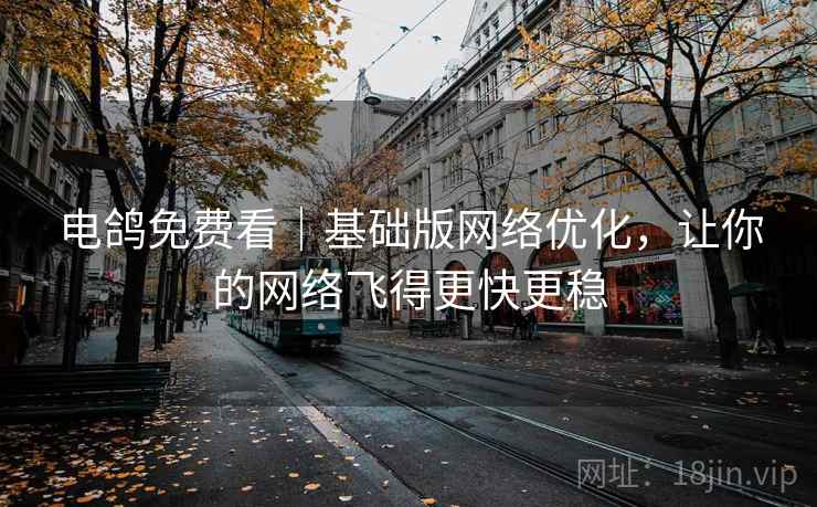 电鸽免费看｜基础版网络优化，让你的网络飞得更快更稳