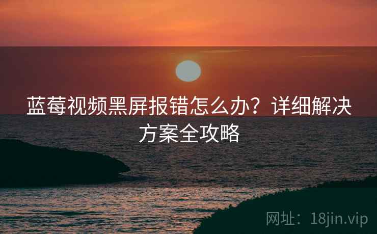 蓝莓视频黑屏报错怎么办？详细解决方案全攻略