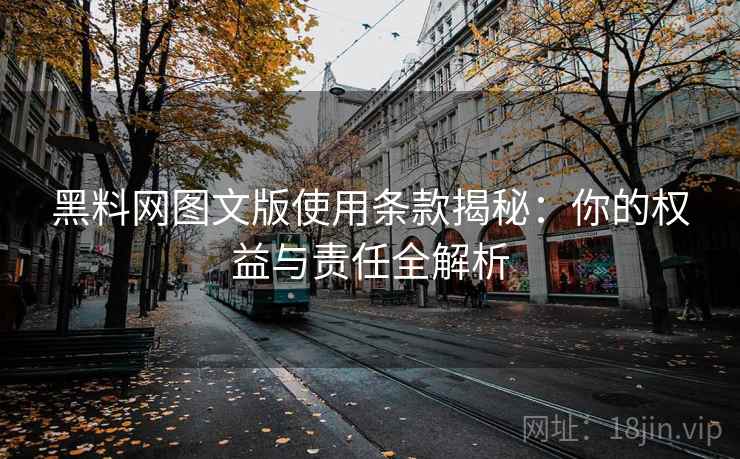 黑料网图文版使用条款揭秘：你的权益与责任全解析