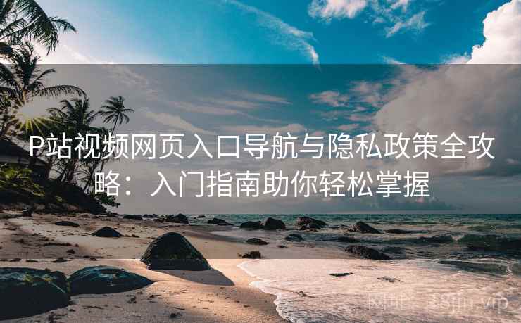 P站视频网页入口导航与隐私政策全攻略：入门指南助你轻松掌握