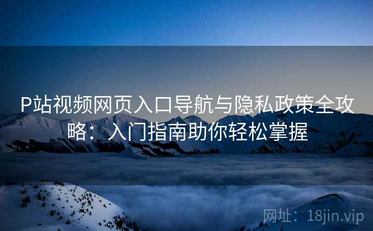 P站视频网页入口导航与隐私政策全攻略：入门指南助你轻松掌握