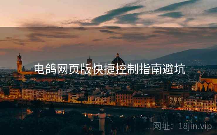 电鸽网页版快捷控制指南避坑