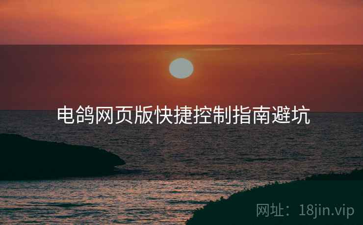 电鸽网页版快捷控制指南避坑