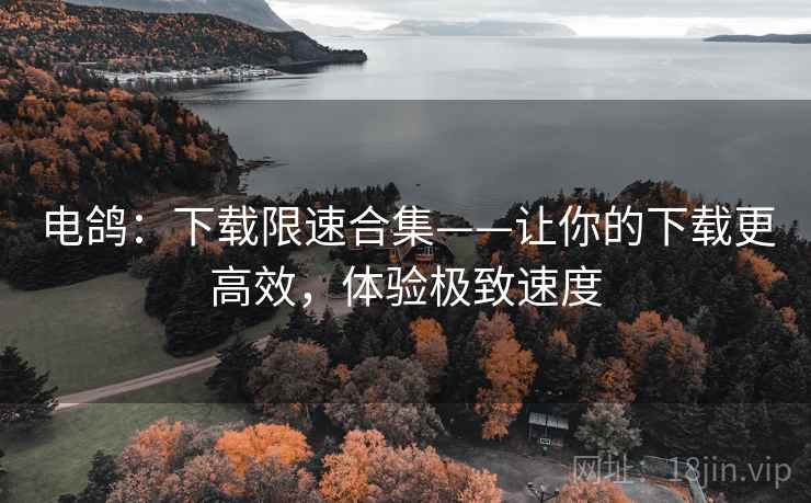 电鸽：下载限速合集——让你的下载更高效，体验极致速度