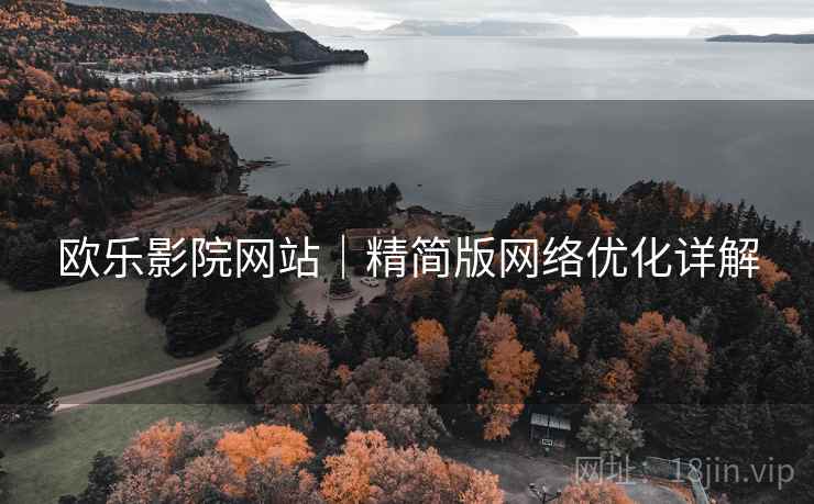 欧乐影院网站｜精简版网络优化详解