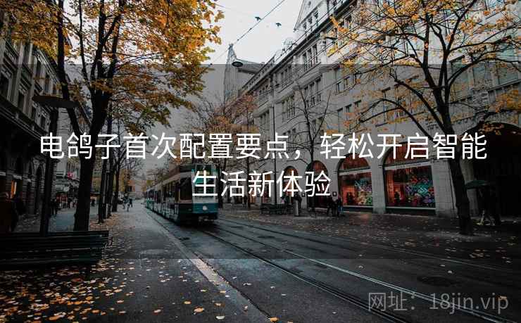 电鸽子首次配置要点，轻松开启智能生活新体验