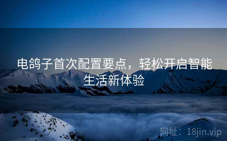电鸽子首次配置要点，轻松开启智能生活新体验